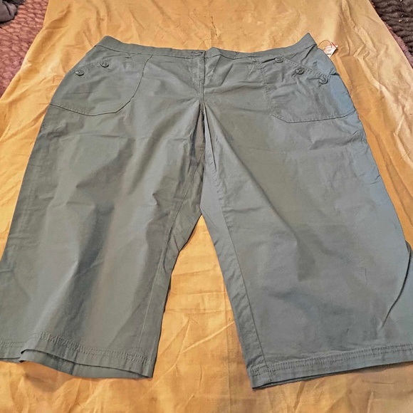 NEW PHOTOS! CAPRI, LIGHT TWILL, CAMEO BLUE, SIZE 28, COTTON/SPANDEX BLEND, FLY - Picture 1 of 16